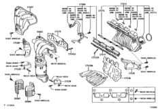 Manifold