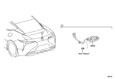Rear Monitor Display & Camera