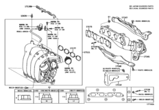 Manifold