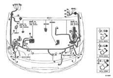 Wiring & Clamp