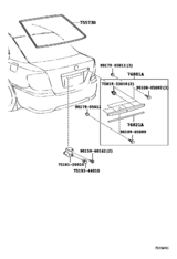 Rear Moulding