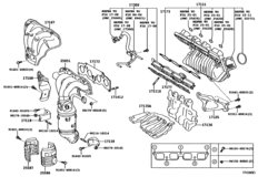 Manifold