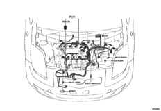 Wiring & Clamp