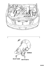 Wiring & Clamp