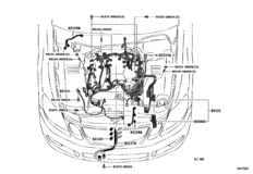 Wiring & Clamp