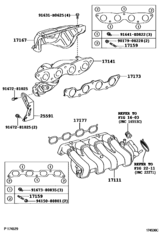 Manifold