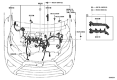 Wiring & Clamp