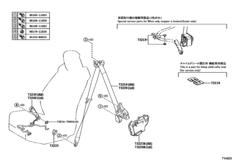 Seat Belt & Child Restraint Seat