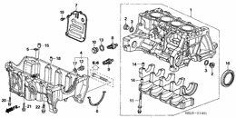 Cylinder block/oil pan