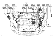 Wiring & Clamp