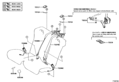 Seat Belt & Child Restraint Seat
