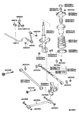 Rear Spring & Shock Absorber