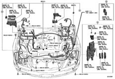 Wiring & Clamp