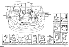 Wiring & Clamp