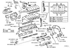 Manifold