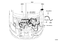 Wiring & Clamp