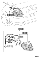 Rear Combination Lamp