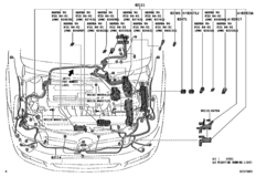 Wiring & Clamp