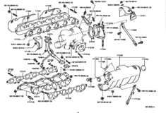 Manifold