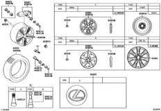 Disc Wheel & Wheel Cap