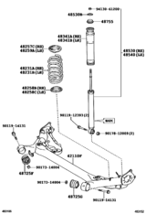 Rear Spring & Shock Absorber