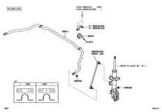 Front Spring & Shock Absorber