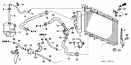 Radiator hose/reserve tan k