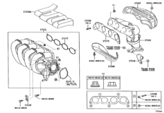 Manifold