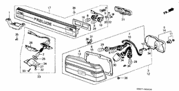 Taillight/back light