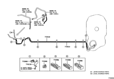 Fuel Tank & Tube