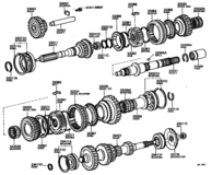Transmission Gear (Mtm)