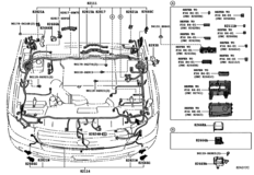 Wiring & Clamp