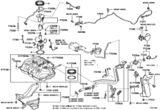 Fuel Tank & Tube