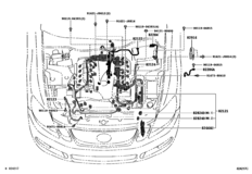 Wiring & Clamp
