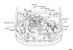 Wiring & Clamp
