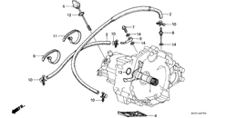 Oil cooler hose/ oil strainer