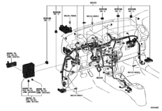 Wiring & Clamp