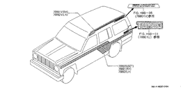 Body side moulding