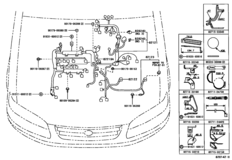 Wiring & Clamp