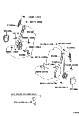 Seat Belt & Child Restraint Seat