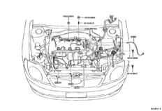 Wiring & Clamp