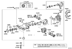 Rear Axle Housing & Differential
