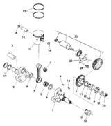 Crankshaft and piston assembly