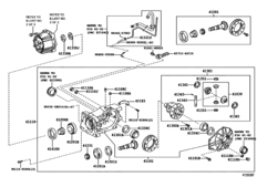 Rear Axle Housing & Differential