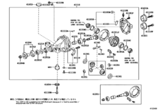 Rear Axle Housing & Differential