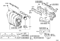 Manifold