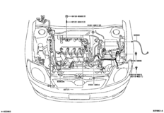 Wiring & Clamp