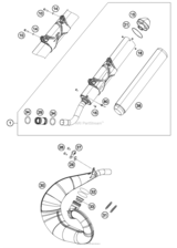 Exhaust System