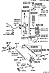Rear Spring & Shock Absorber