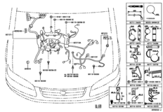 Wiring & Clamp